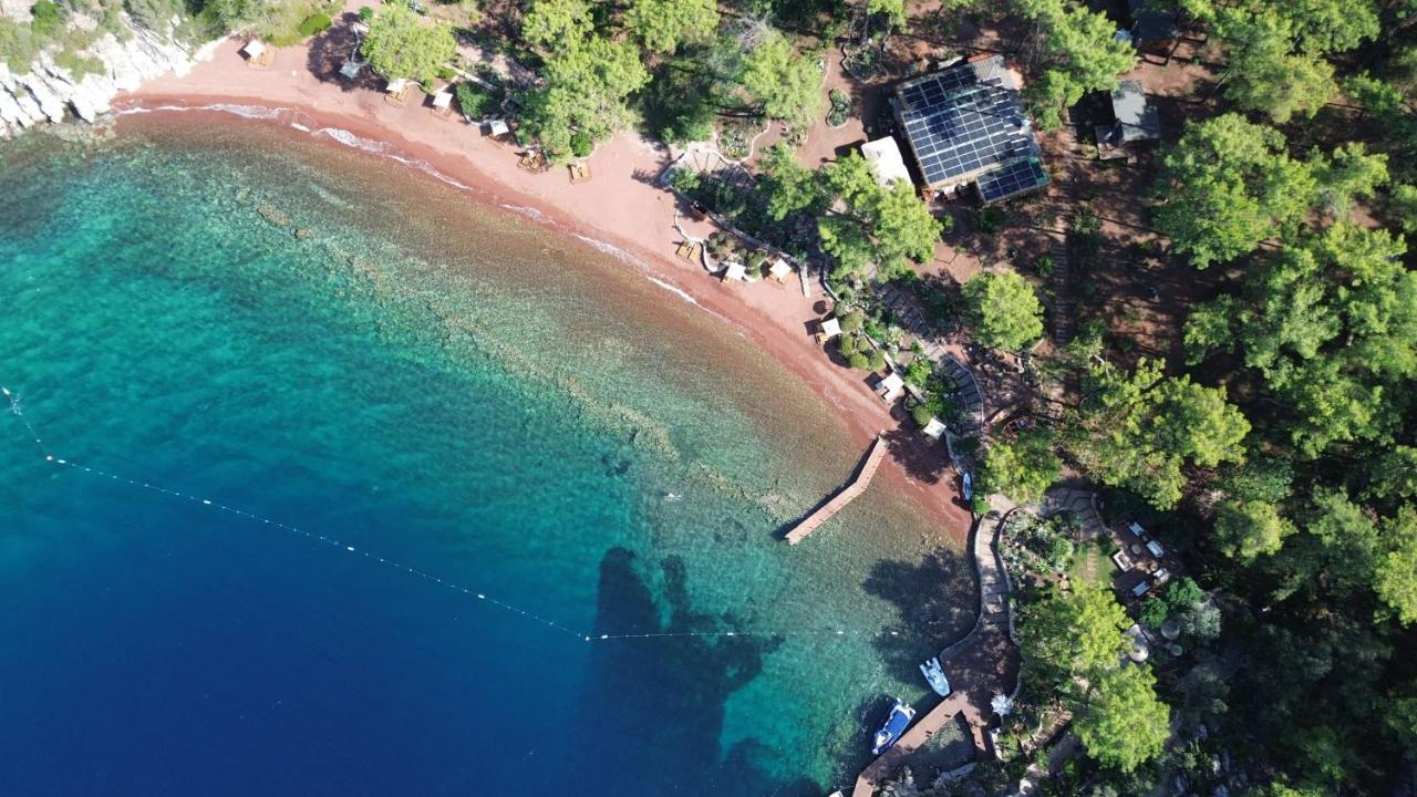 Ada Capra Hotel Marmaris Dış mekan fotoğraf